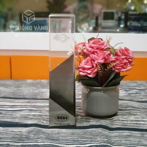 Kỷ niệm chương pha lê ở Vĩnh Phúc